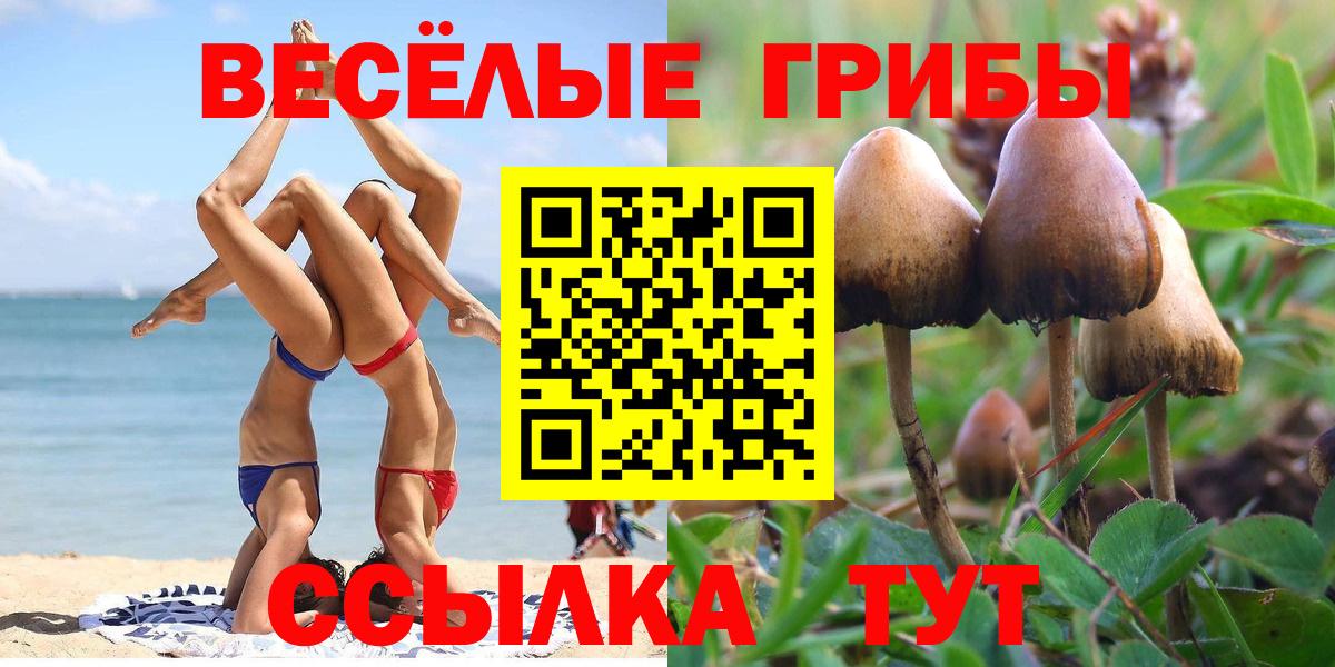 Галлюциногенные грибы мухоморы Набережные Челны